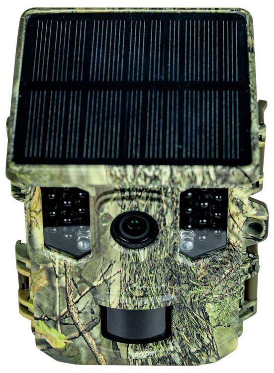 Produktbild: Braun Phototechnik Scouting Cam Black300 WiFi Solar 4K Mini Wildkamera Black LEDs, WLAN, Zeitrafferfunktion Camouflage Gr&uuml;n