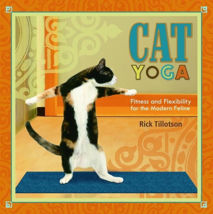 Produktbild: Cat Yoga