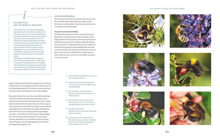 Produktbild: Die Welt in meinem Garten