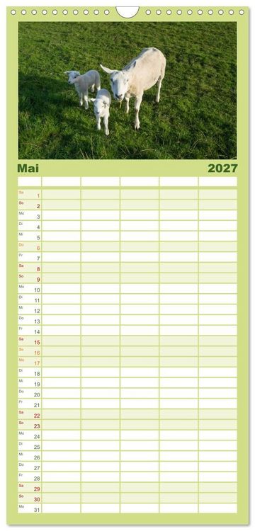 Produktbild: Familienplaner 2027 - Ameland Wundersch&ouml;ne Insel mit 5 Spalten (Wandkalender, 21 x 45 cm) CALVENDO