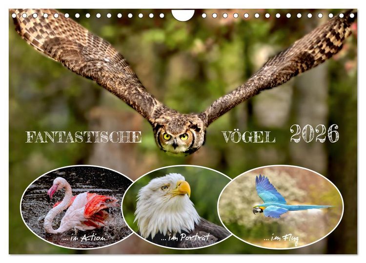 Produktbild: Fantastische V&ouml;gel (Wandkalender 2026 DIN A4 quer), CALVENDO Monatskalender