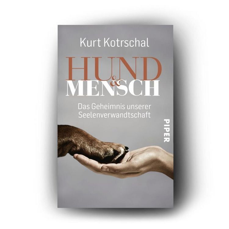 Produktbild: Hund & Mensch