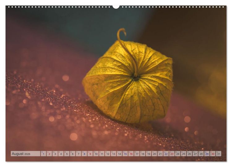 Produktbild: Kunstvolle Physalis-Kleine Frucht von gro&szlig;er Faszination (hochwertiger Premium Wandkalender 2026 DIN A2 quer), Kunstdruck in Hochglanz