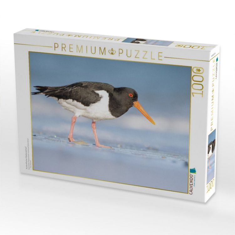 Produktbild: CALVENDO Puzzle Austernfischer (Oystercatcher) | 1000 Teile Lege-Gr&ouml;&szlig;e 64x48cm Foto-Puzzle f&uuml;r gl&uuml;ckliche Stunden