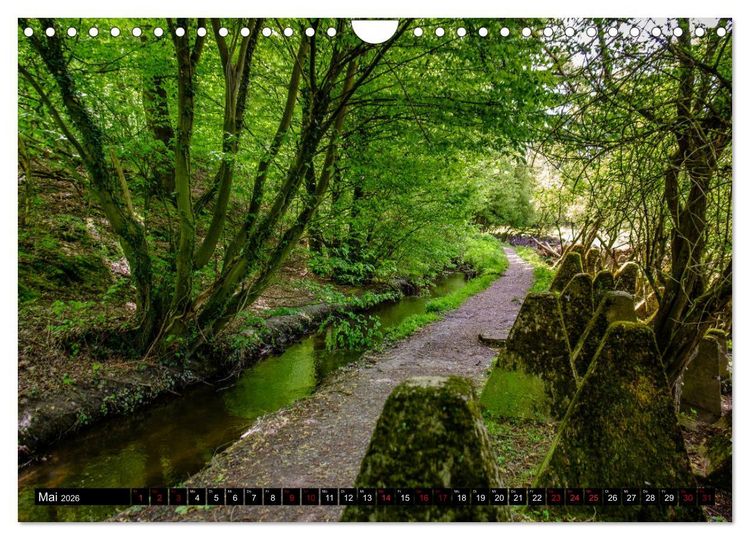 Produktbild: Wege des einfachen Gl&uuml;cks - Spazierg&auml;nge im Wald (Wandkalender 2026 DIN A4 quer), CALVENDO Monatskalender