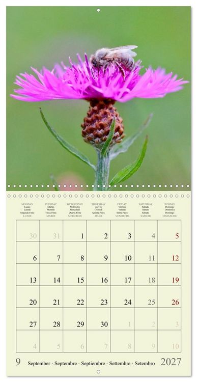 Produktbild: Petites fleurs color&eacute;es (Calendrier mural carr&eacute; 2027 30x30 cm) Calendrier double avec une page pour vos prises de notes