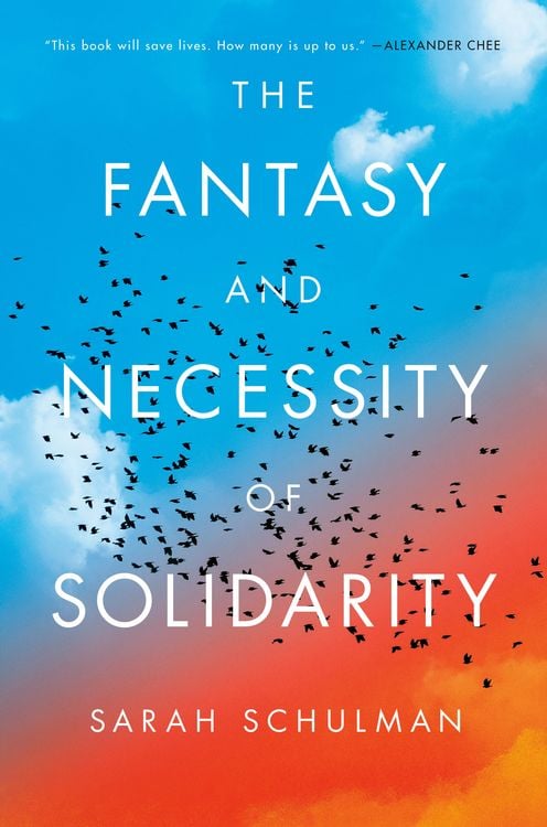 Produktbild: The Fantasy and Necessity of Solidarity