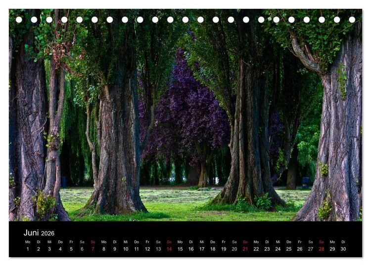 Produktbild: Charmantes Hamburg (Tischkalender 2026 DIN A5 quer), CALVENDO Monatskalender