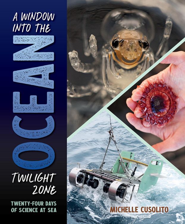Produktbild: A Window into the Ocean Twilight Zone