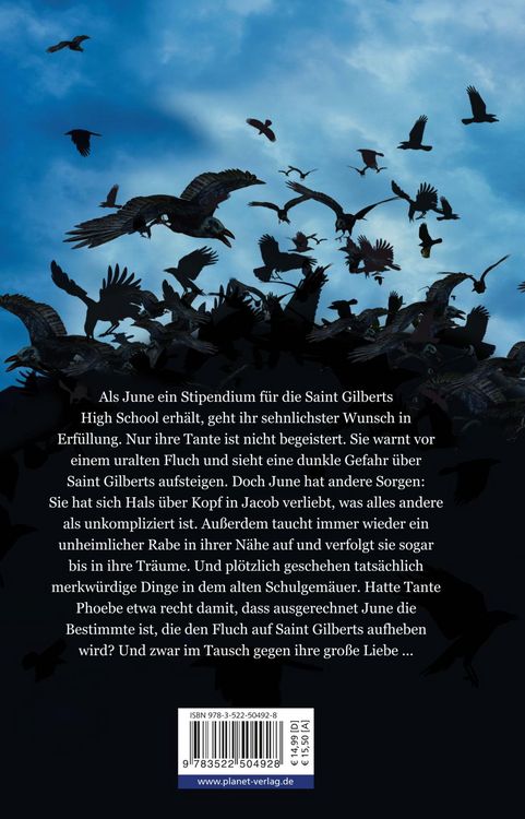 Produktbild: Rabenherz / Rabenepos Band 1