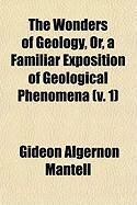 Produktbild: The Wonders of Geology, Or, a Familiar Exposition of Geological Phenomena (V. 1)