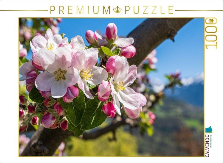 Produktbild: CALVENDO Puzzle Apfelbl&uuml;te in S&uuml;dtirol | 1000 Teile Lege-Gr&ouml;&szlig;e 64x48cm Foto-Puzzle f&uuml;r gl&uuml;ckliche Stunden