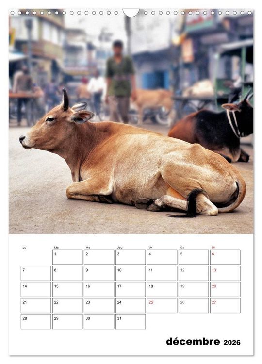 Produktbild: L'Inde du Nord (Calendrier mural 2026 DIN A3 horizontal), CALVENDO calendrier mensuel