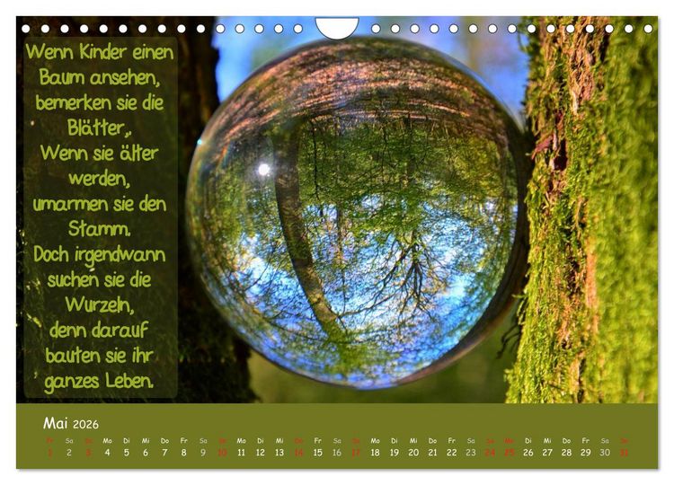 Produktbild: Wunderbare Waldkugeln (Wandkalender 2026 DIN A4 quer), CALVENDO Monatskalender