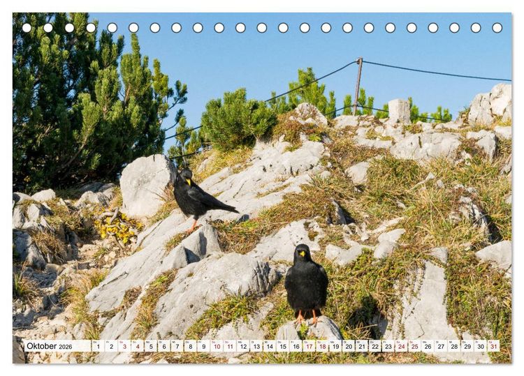 Produktbild: Der Rauschberg (Tischkalender 2026 DIN A5 quer), CALVENDO Monatskalender