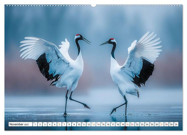 Produktbild: Mit den Kranichen kehrt das Licht in die Seele zur&uuml;ck (hochwertiger Premium Wandkalender 2027 DIN A2 quer), Kunstdruck in Hochglanz