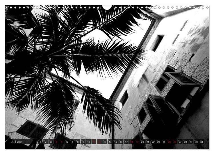 Produktbild: Mallorca monochrom (Wandkalender 2026 DIN A3 quer), CALVENDO Monatskalender