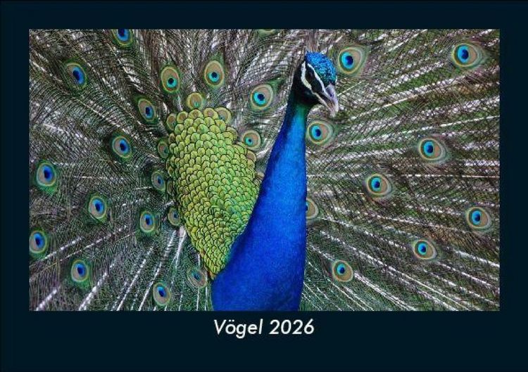 Produktbild: V&ouml;gel 2026 Fotokalender DIN A5