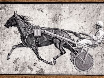 Produktbild: CALVENDO Puzzle Sulky | 1000 Teile Lege-Gr&ouml;&szlig;e 64x48cm Foto-Puzzle f&uuml;r gl&uuml;ckliche Stunden