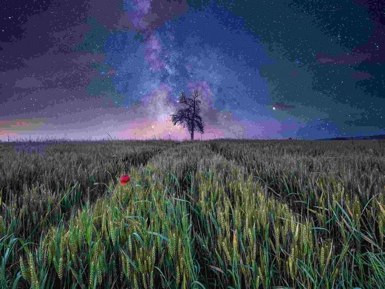 Produktbild: Erwachsenenpuzzle Power of Nature 1500 Teile - Nachthimmel &uuml;ber dem Kornfeld