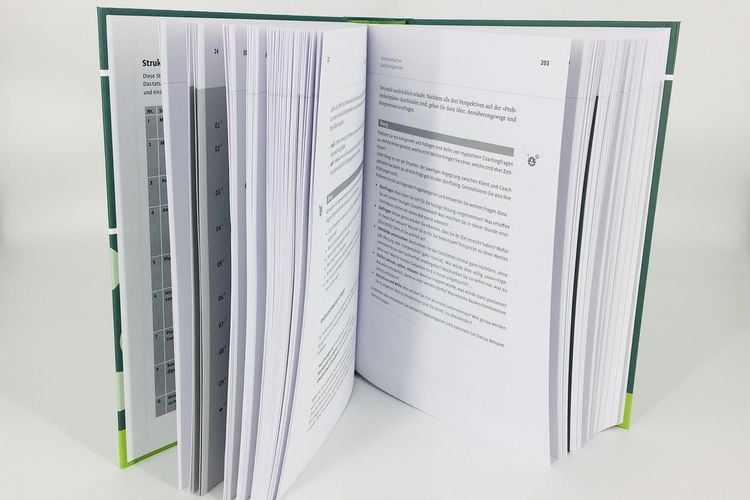 Produktbild: Handbuch Coaching und Beratung