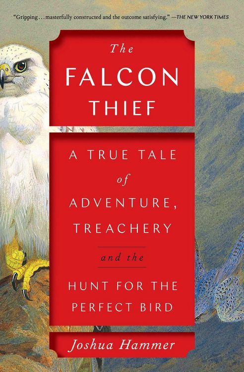 Produktbild: The Falcon Thief