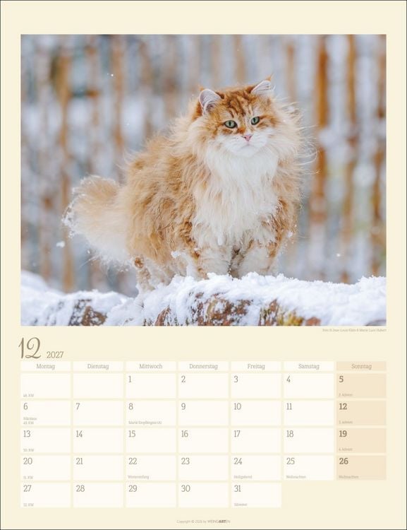 Produktbild: Katzen auf dem Lande Kalender 2027