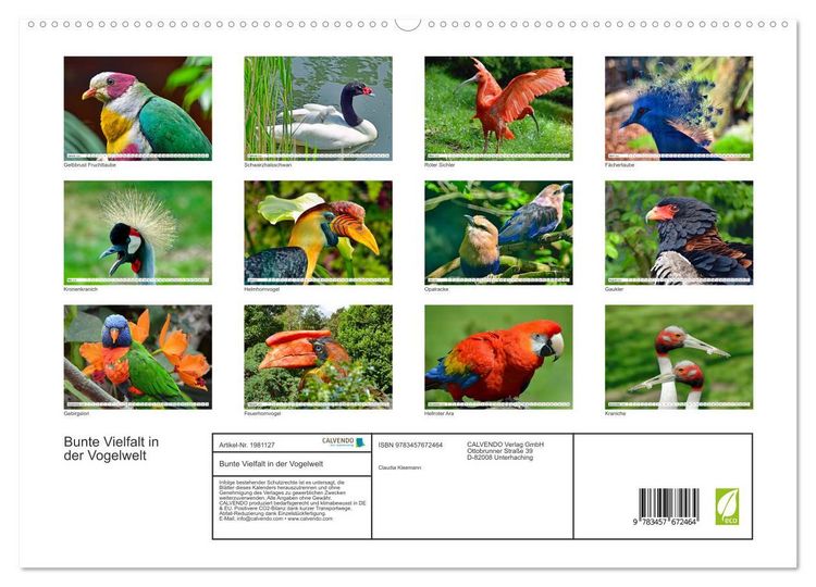 Produktbild: Bunte Vielfalt in der Vogelwelt (hochwertiger Premium Wandkalender 2026 DIN A2 quer), Kunstdruck in Hochglanz