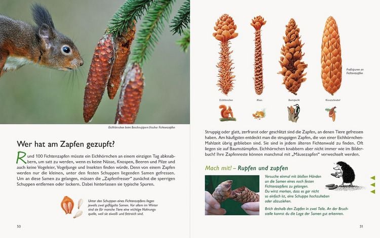 Produktbild: Wawra's Naturbuch &ndash; Unserer Natur auf der Spur, Bd. 1: S&auml;ugetiere, V&ouml;gel, Reptilien, Amphibien