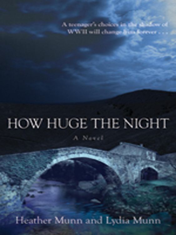 Produktbild: How Huge the Night