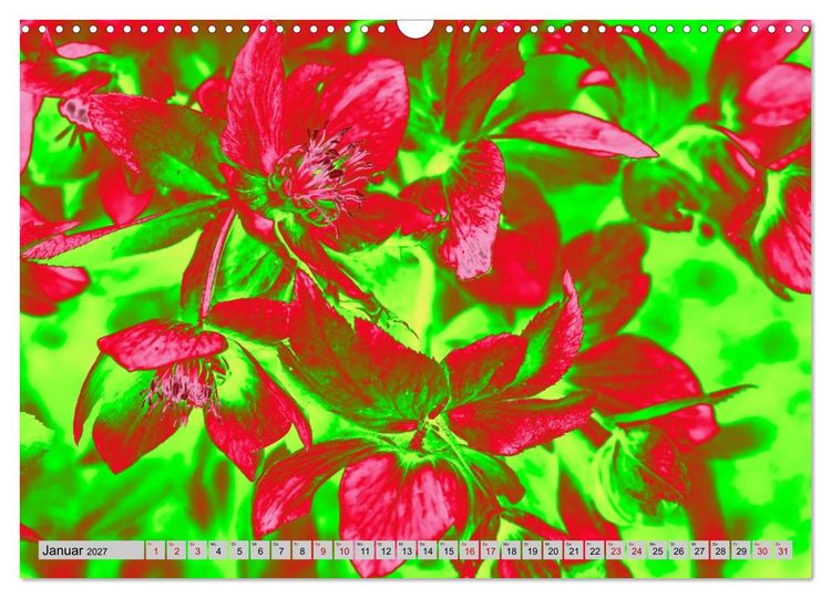 Produktbild: Blumen Pop-Art (Wandkalender 2027 DIN A3 quer), CALVENDO Monatskalender