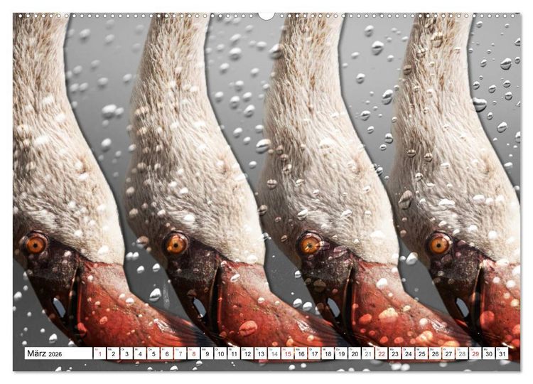 Produktbild: Emotionale Momente: African Dreams (hochwertiger Premium Wandkalender 2026 DIN A2 quer), Kunstdruck in Hochglanz