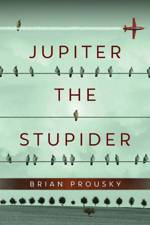 Produktbild: Jupiter the Stupider
