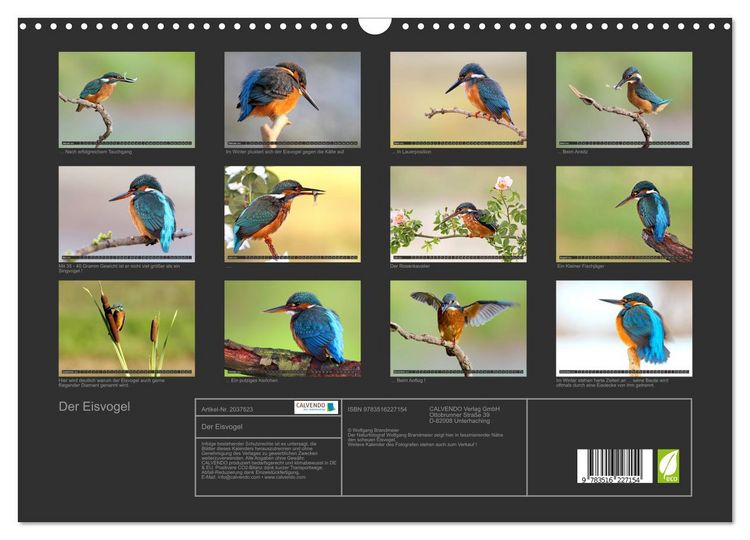 Produktbild: Der Eisvogel (Wandkalender 2026 DIN A3 quer), CALVENDO Monatskalender