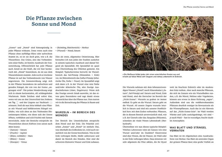 Produktbild: Die Urkraft der Planeten in den Pflanzen