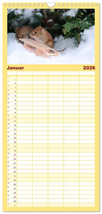 Produktbild: Familienplaner 2026 - Die R&ouml;telmaus - neugierig und verfressen mit 5 Spalten (Wandkalender, 21 x 45 cm) CALVENDO