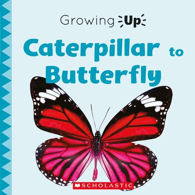 Produktbild: Caterpillar to Butterfly (Growing Up)