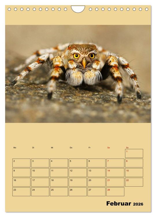 Produktbild: Seltsame Tiere - da stimmt doch was nicht... (Wandkalender 2026 DIN A4 hoch), CALVENDO Monatskalender