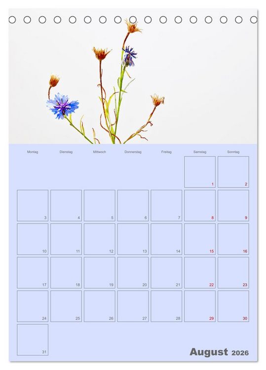 Produktbild: Blumenmetamorphosen (Tischkalender 2026 DIN A5 hoch), CALVENDO Monatskalender