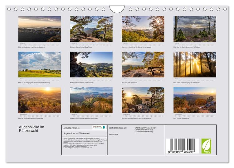 Produktbild: Augenblicke im Pf&auml;lzerwald (Wandkalender 2026 DIN A4 quer), CALVENDO Monatskalender