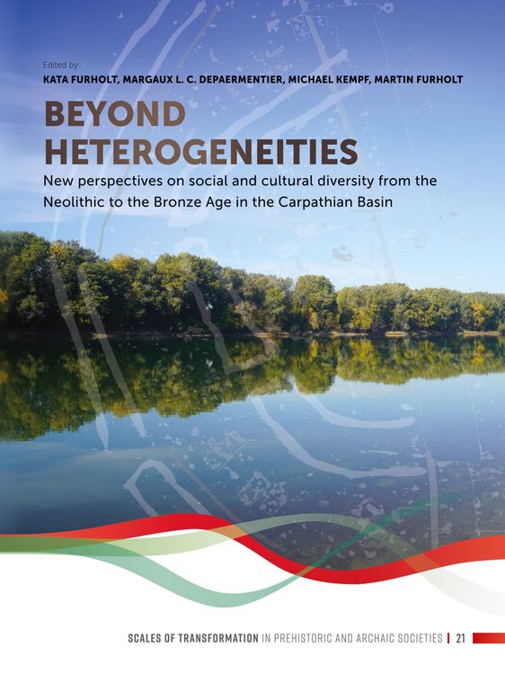 Produktbild: Beyond heterogeneities