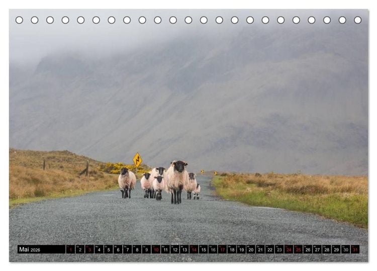 Produktbild: Irland Impressionen S&uuml;dwesten und Westen (Tischkalender 2026 DIN A5 quer), CALVENDO Monatskalender