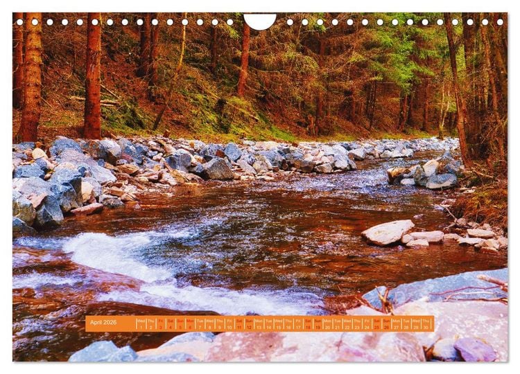 Produktbild: Unique Thuringian Forest (Wall Calendar 2026 DIN A4 landscape), CALVENDO 12 Month Wall Calendar