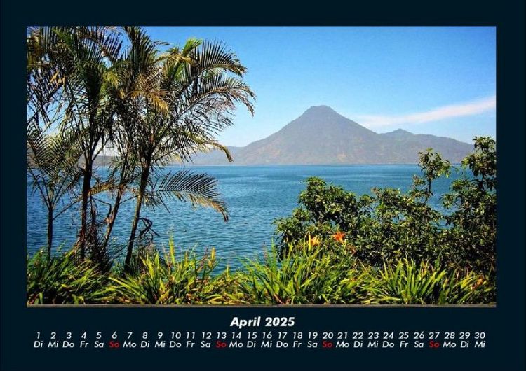 Produktbild: Palmentraum 2025 Fotokalender DIN A4