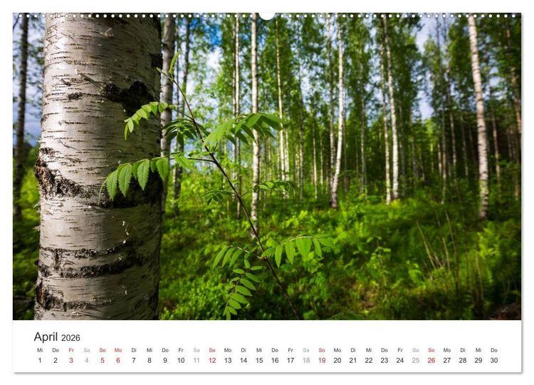 Produktbild: Landschaften Finnlands (Wandkalender 2026 DIN A2 quer), CALVENDO Monatskalender