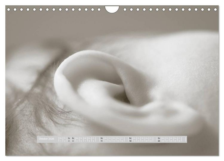 Produktbild: ...so winzig - Babykalender (Wandkalender 2026 DIN A4 quer), CALVENDO Monatskalender