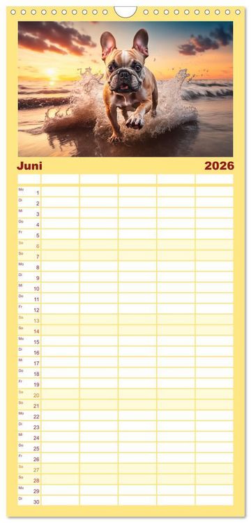 Produktbild: Familienplaner 2026 - Franz&ouml;sische Bulldoggen mit 5 Spalten (Wandkalender, 21 x 45 cm) CALVENDO