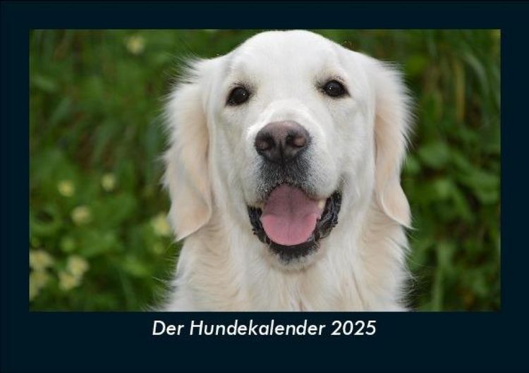 Produktbild: Der Hundekalender 2025 Fotokalender DIN A5