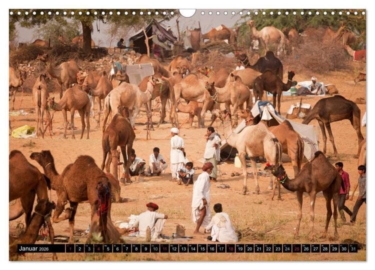 Produktbild: Rajasthan, Indien - Pushkar Mela (Wandkalender 2026 DIN A3 quer), CALVENDO Monatskalender