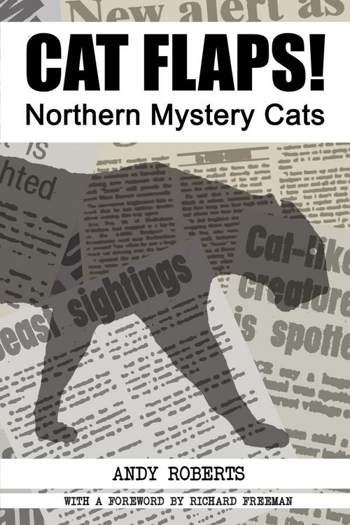 Produktbild: Cat Flaps! Northern Mystery Cats